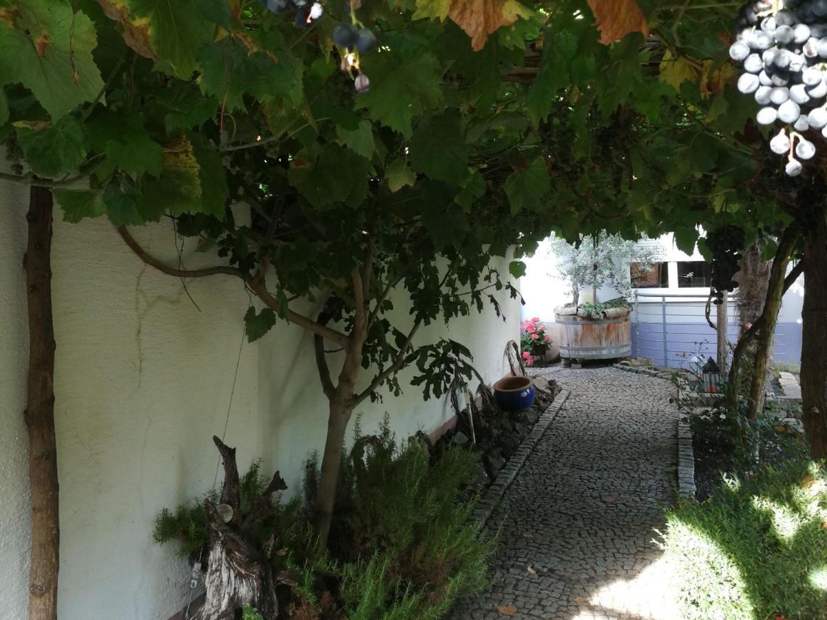 Haus Bienen Bed & Breakfast Иринген Екстериор снимка
